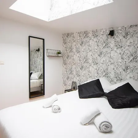 Amazing And Quiet Duplex In The Center ! Lille